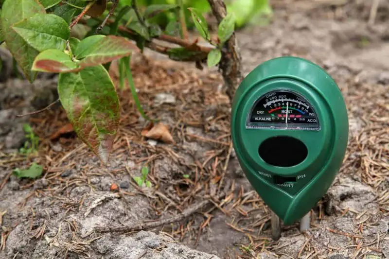 Best Soil Moisture Meters