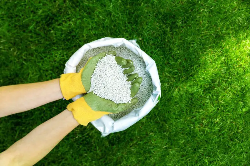 What Is 29-0-5 Fertilizer