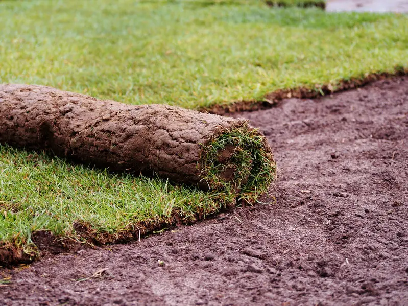 How to Lay Turf on Clay Soil