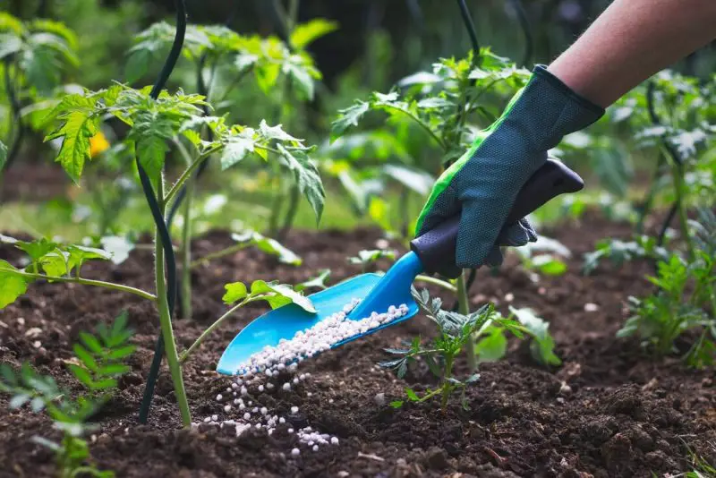 What Is 15-5-10 Fertilizer Used For