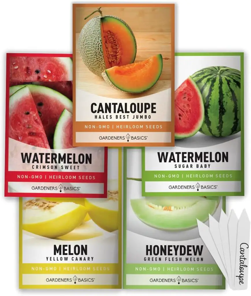 How to Grow Watermelon