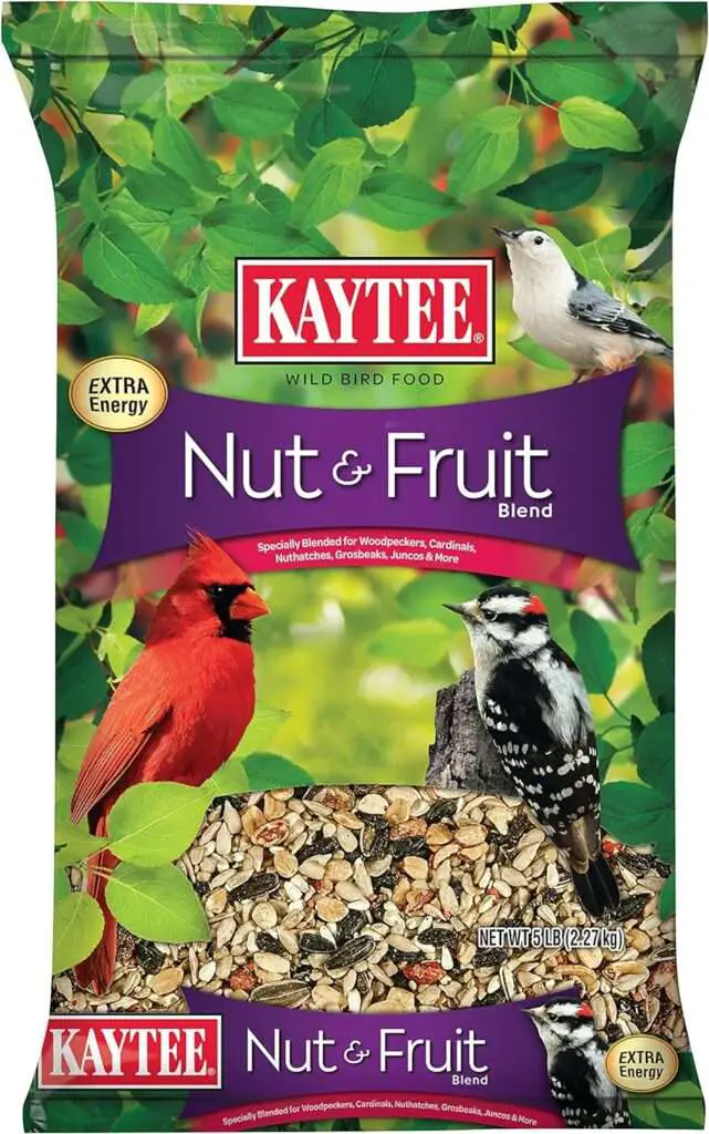 How to Keep Squirrels Away from Bird Feeders