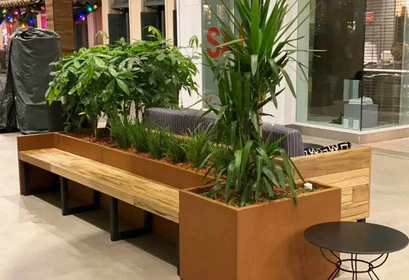 Backyard Planter Ideas
