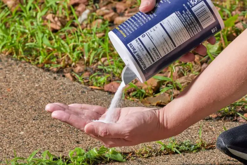 Can I Kill Weeds With Salt