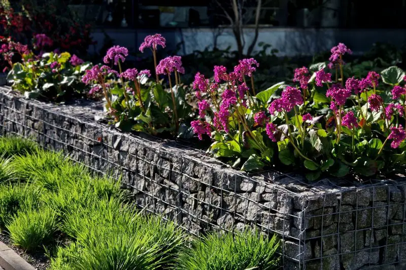 Backyard Planter Ideas