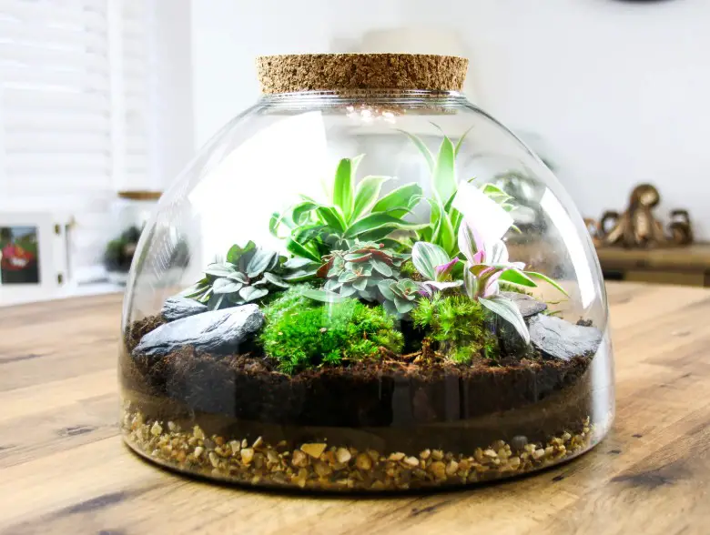 Backyard Planter Ideas