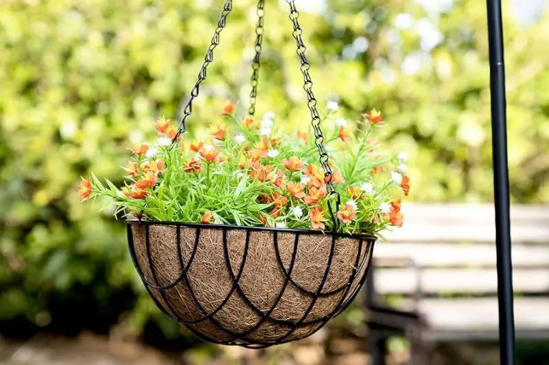 Backyard Planter Ideas