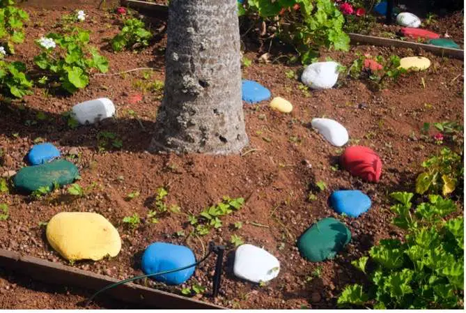 Garden Decor Ideas