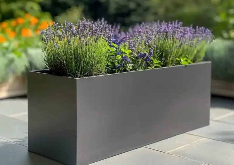 Backyard Planter Ideas