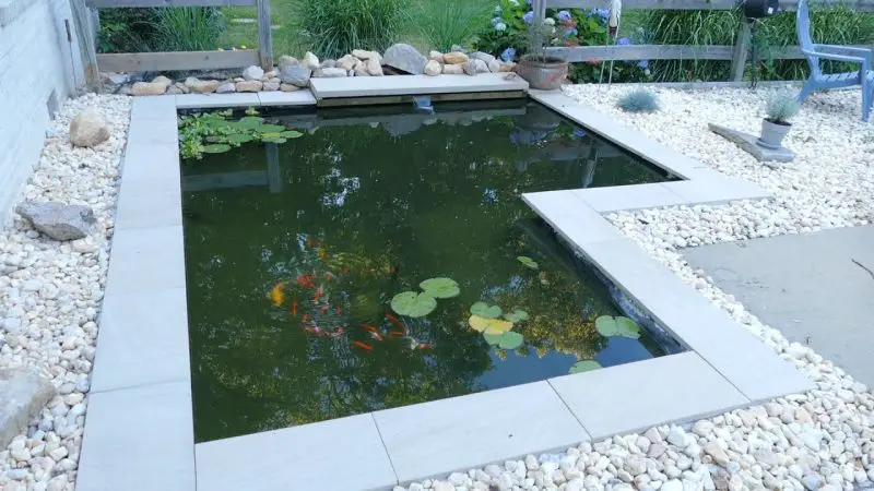 Yard Pond Ideas