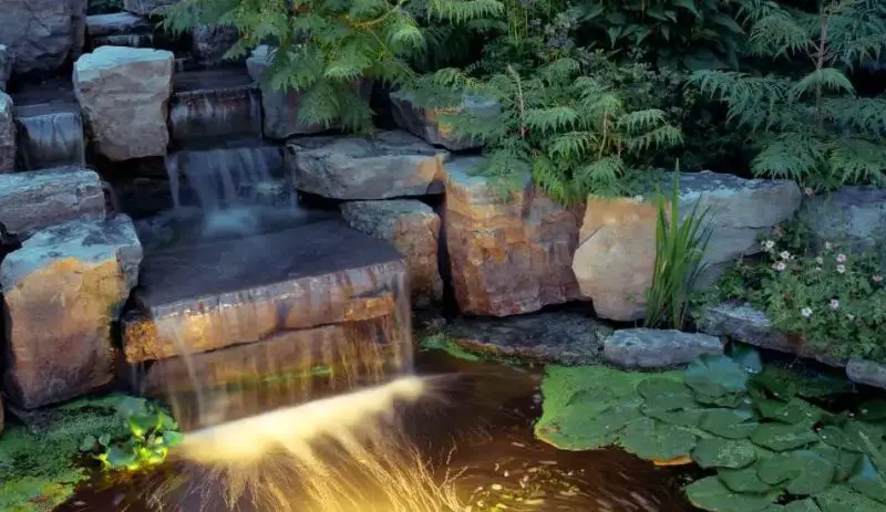Yard Pond Ideas
