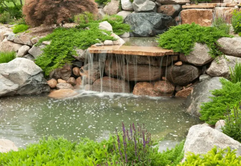 Yard Pond Ideas