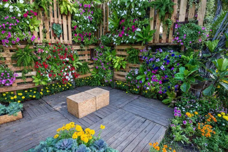 Backyard Planter Ideas