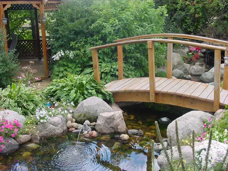 Yard Pond Ideas
