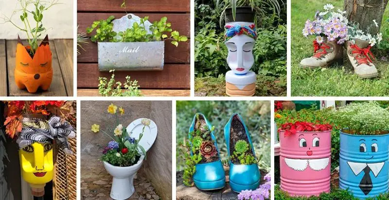 Backyard Planter Ideas