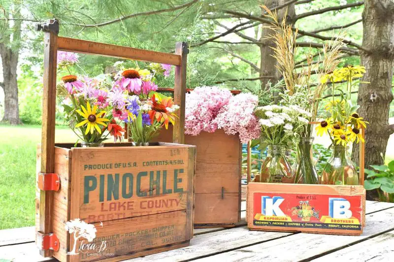 Backyard Planter Ideas