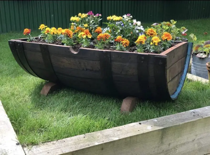 Backyard Planter Ideas
