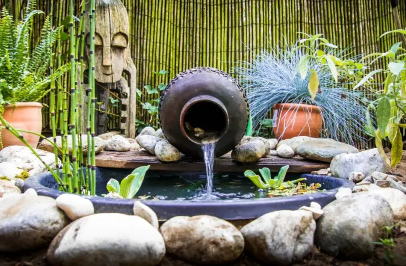 Yard Pond Ideas