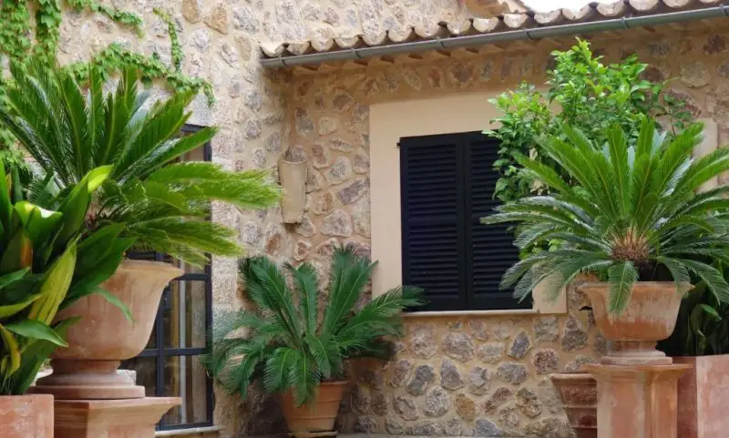 Backyard Planter Ideas