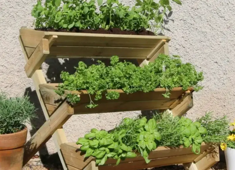 Backyard Planter Ideas