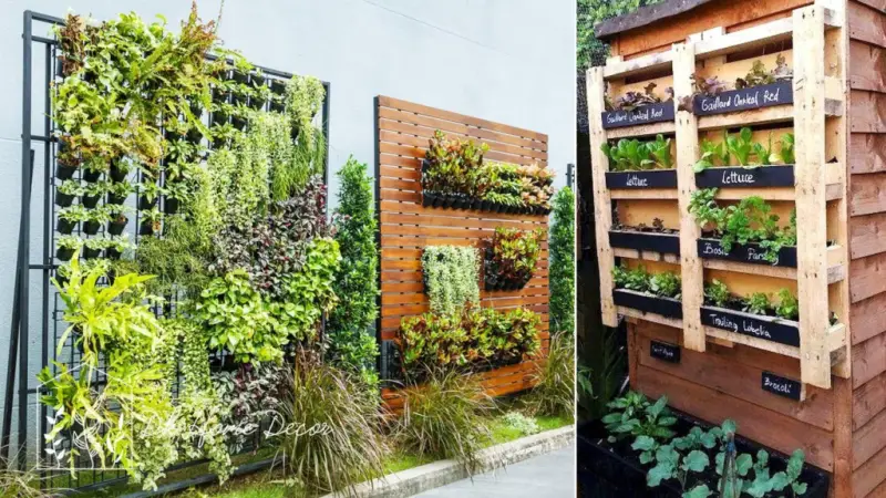 Backyard Planter Ideas