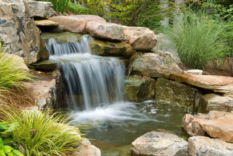 Yard Pond Ideas
