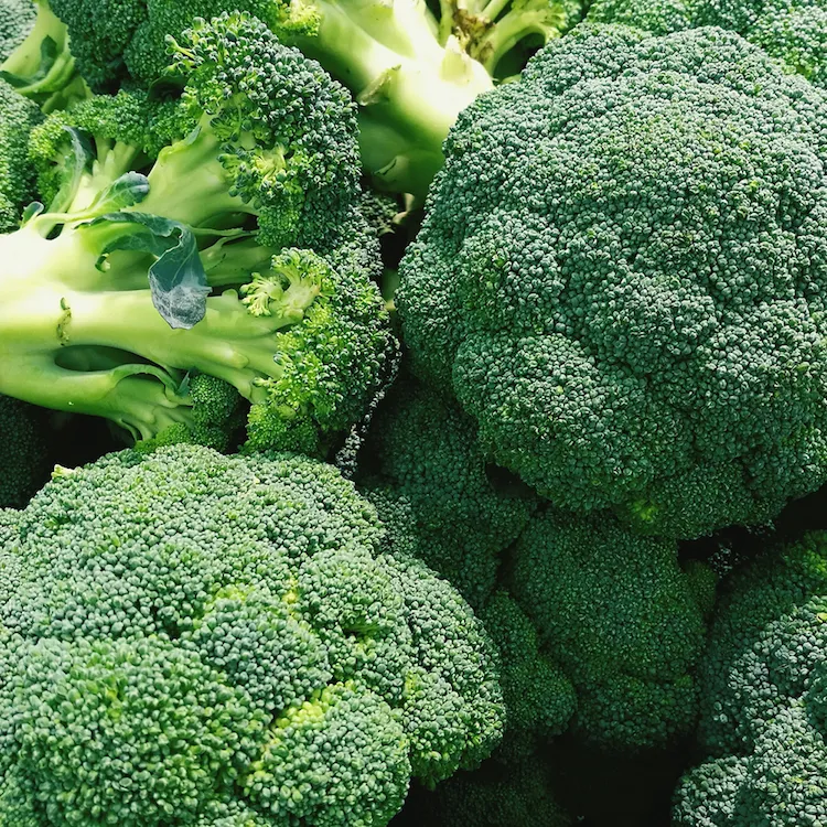 What to Serve with Broccoli Cheese Soup