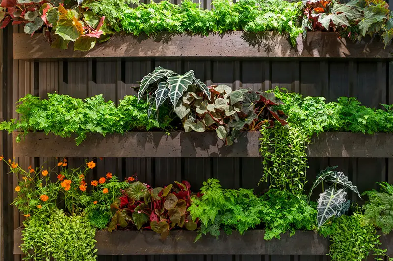 Corner Garden Ideas to Brighten Your Yard