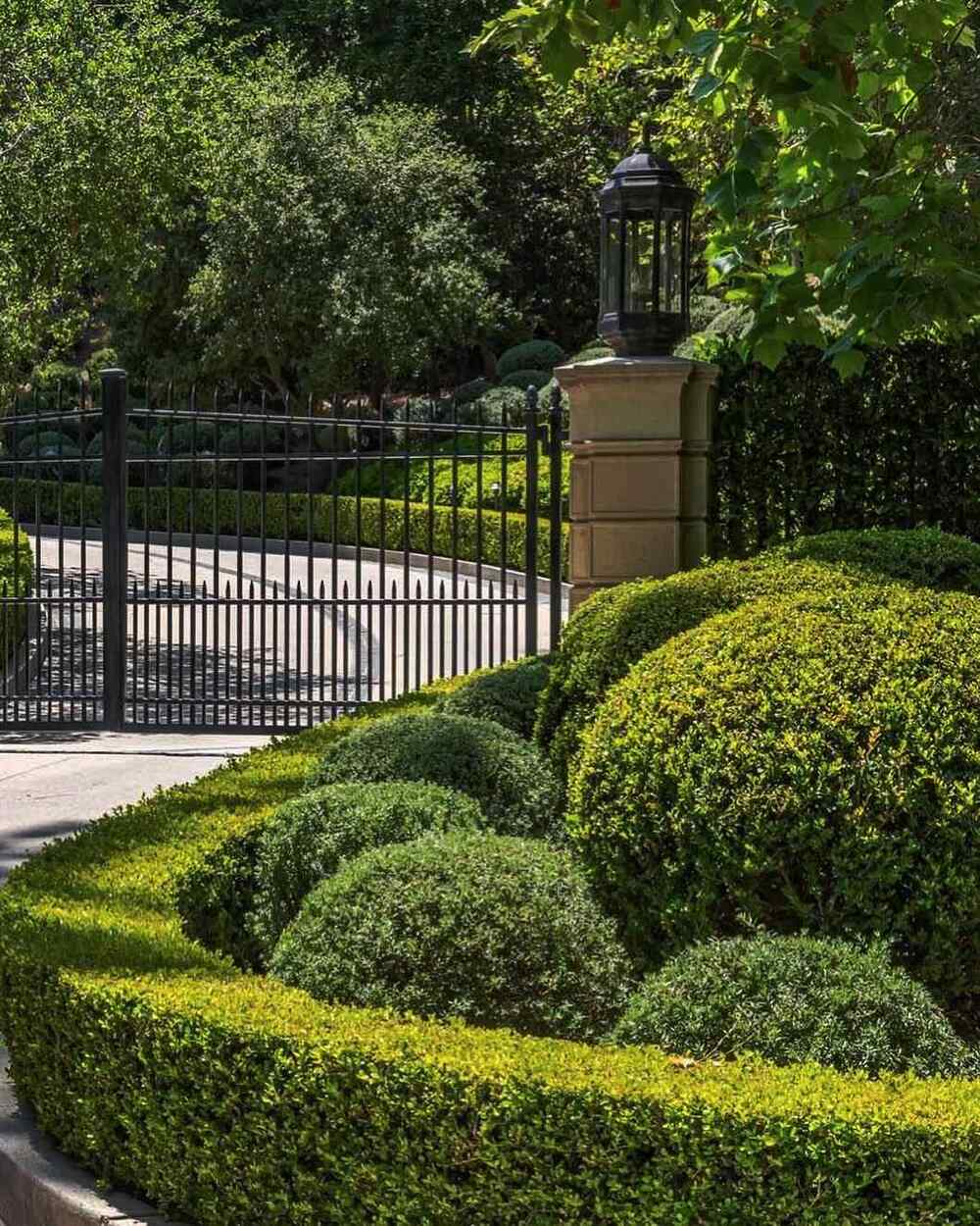 Boxwood, credit-chadwaterhouse