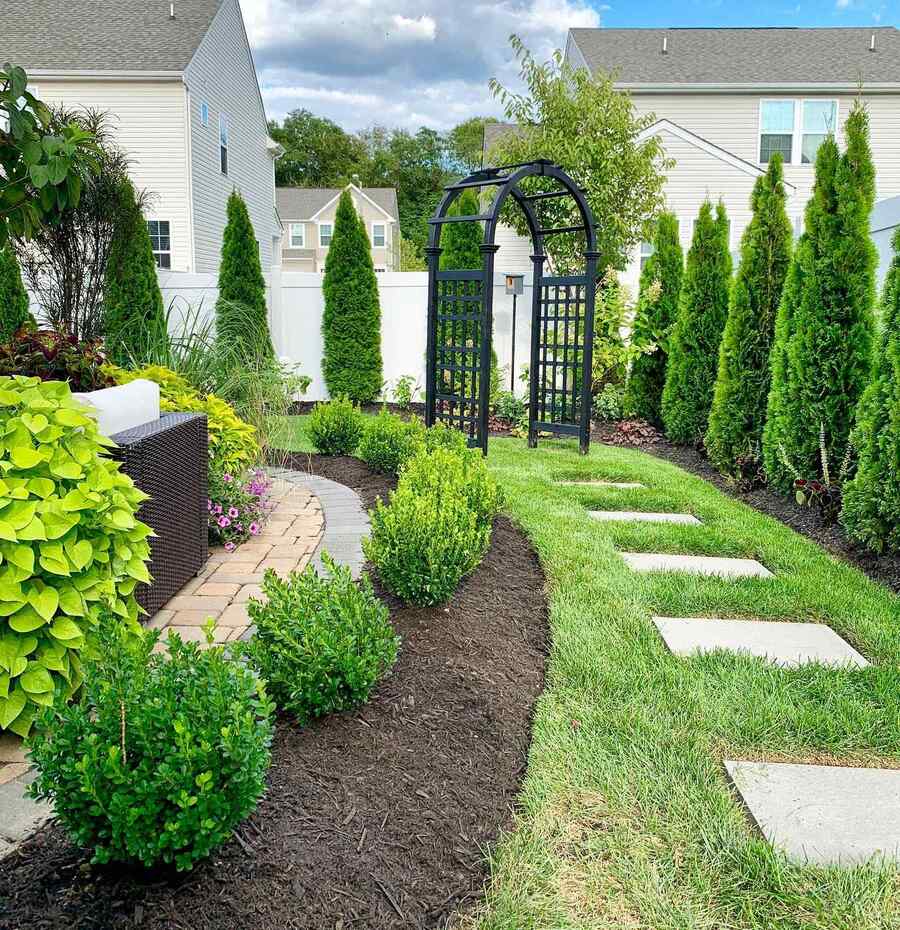 Boxwood shrubs for Tennessee landscapes