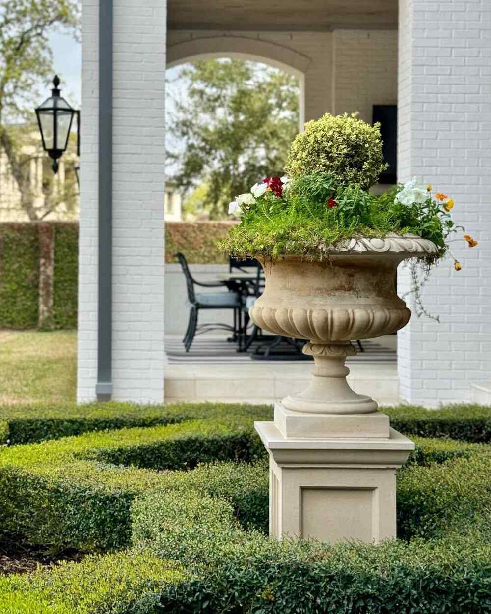 Dwarf Yaupon Holly, credit-moss_landscaping