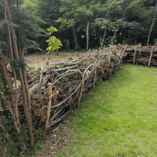 Most people don’t know this: how to build a dead hedge (and why you should).