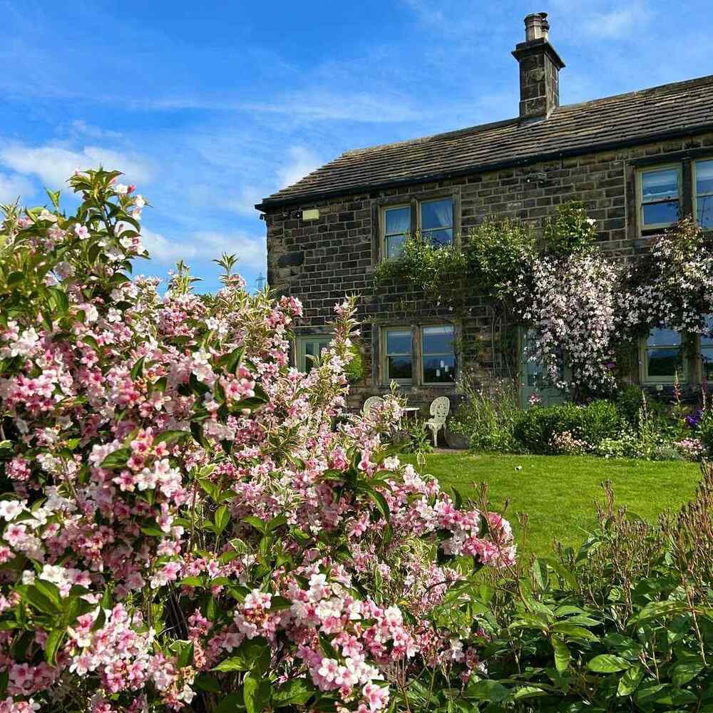 Weigela, credit-the_little_end_cottage