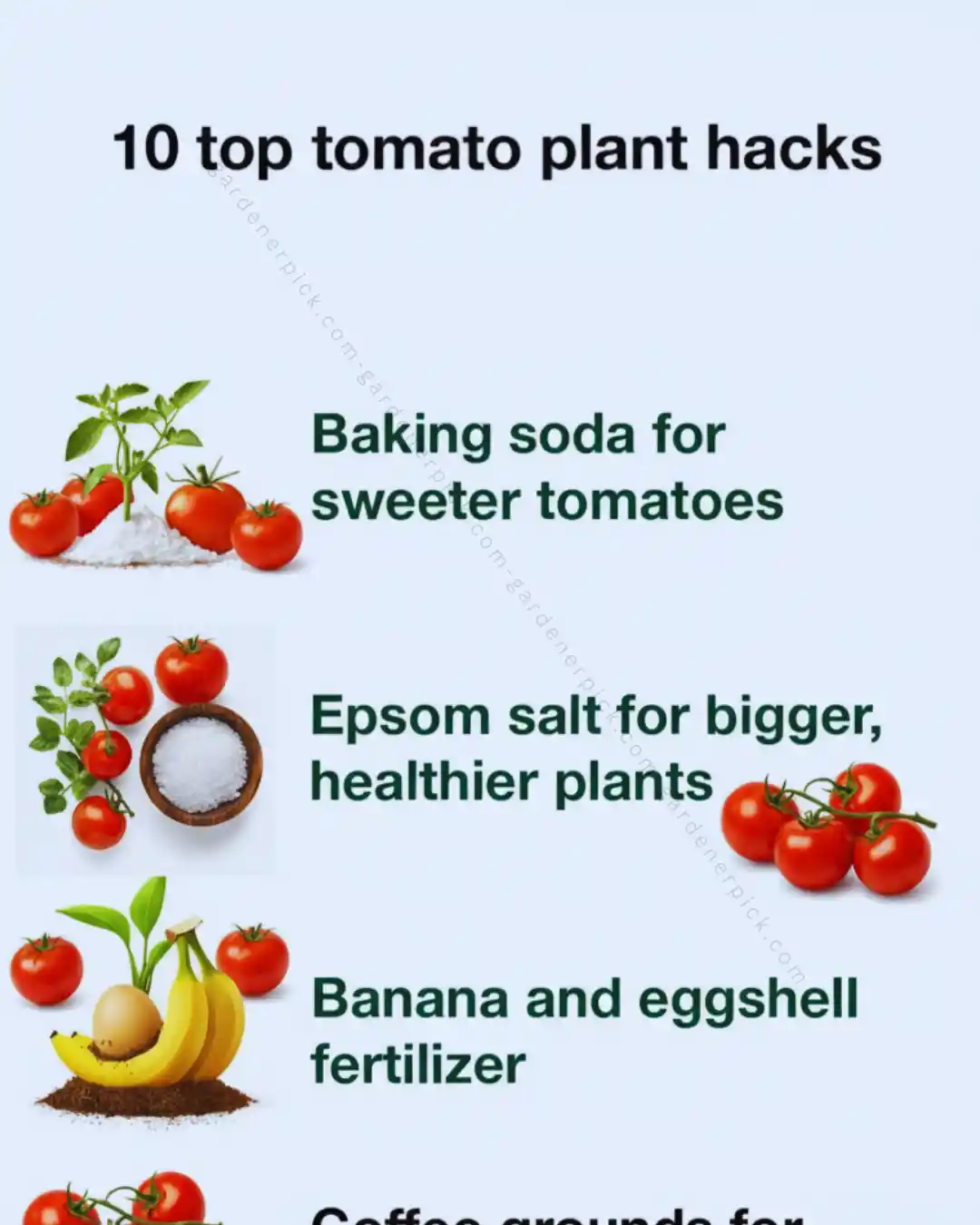 top tomato plant hacks