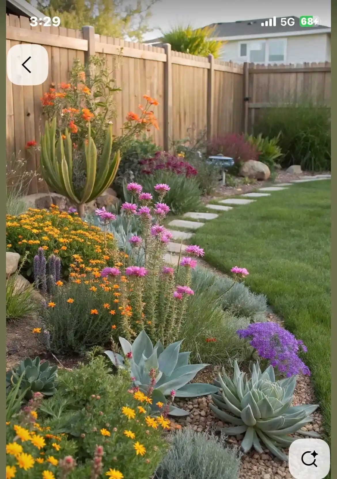 zone 9 landscaping texas