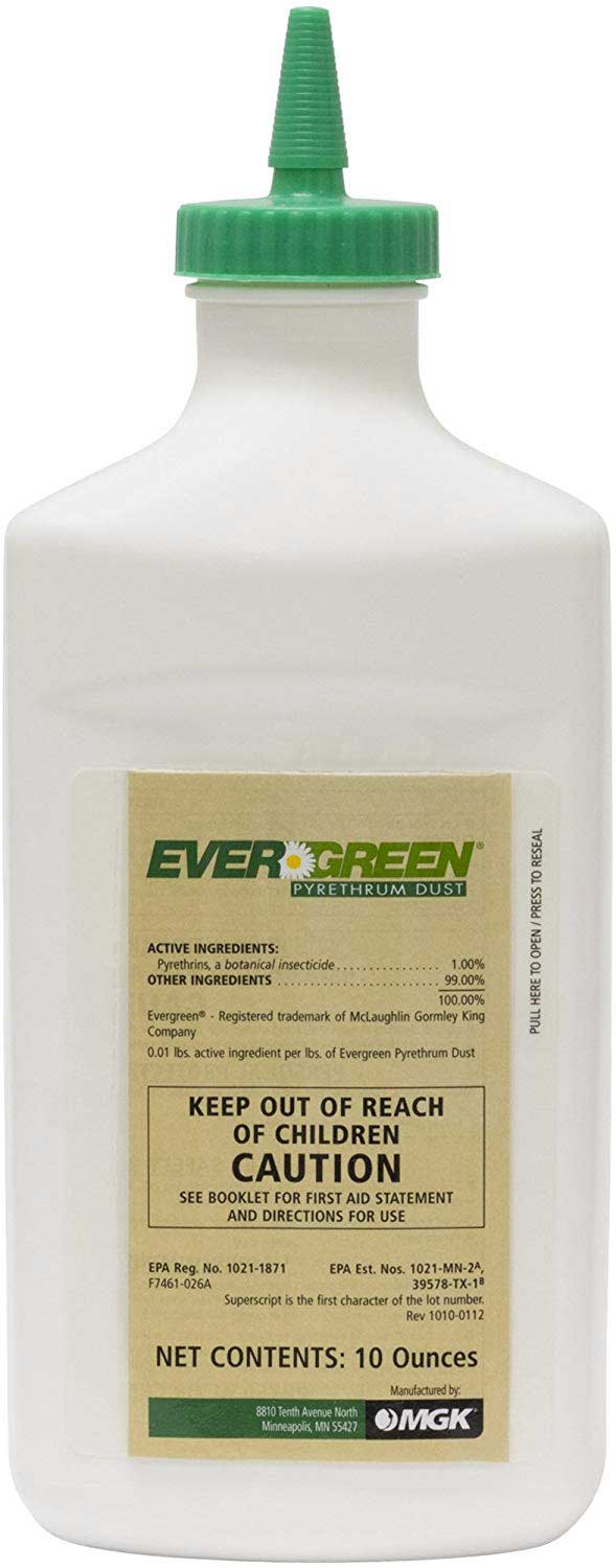 How To Get Rid of Hammerhead Worms? 2023 Magical Tricks!