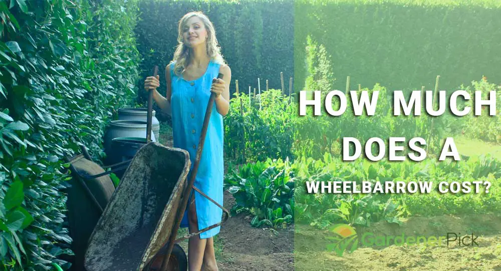 how much does a wheelbarrow cost