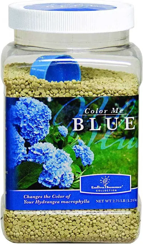 Best Fertilizer For Hydrangeas Blue