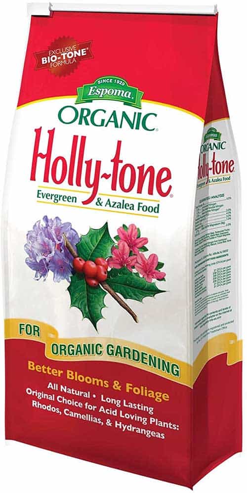 Best Fertilizer For Hydrangeas Plants