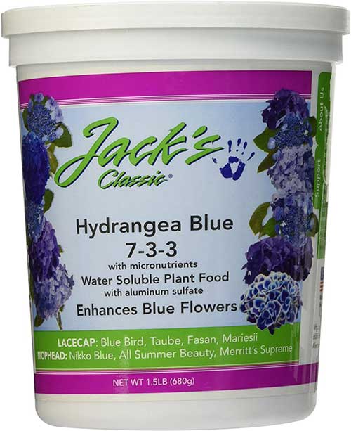 Best Fertilizer For Limelight Hydrangea