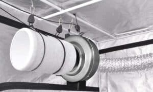 Does a Carbon Filter Have To Vent Outside