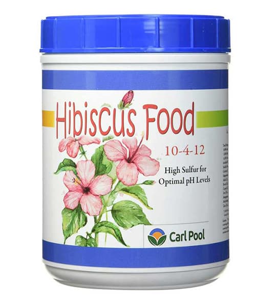 Hibiscus Plant Food