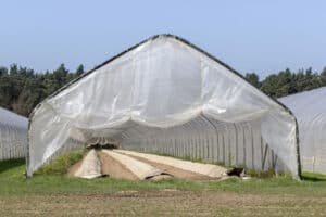 how to cool a grow tent