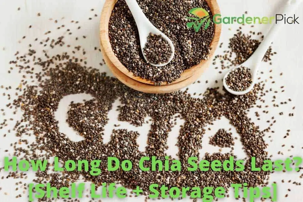 how long do chia seeds last