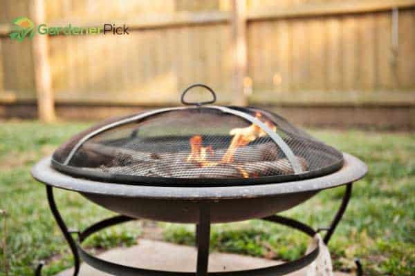 burnt grass from fire pit