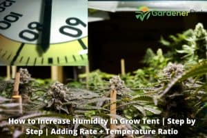 how to increase humidity in grow tent