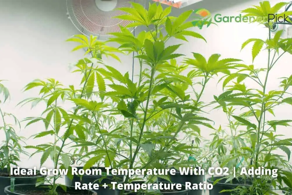 ideal grow room temp with co2
