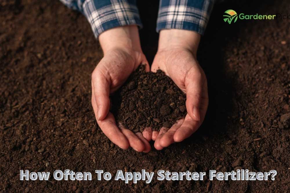 How Often To Apply Starter Fertilizer