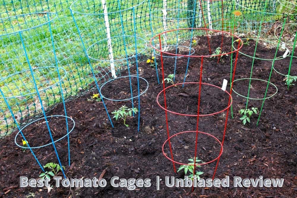 best tomato cages
