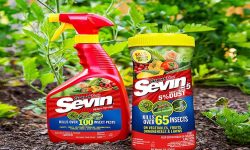 How Long Does Sevin Dust Last? [Minimum Time For Working Fast]